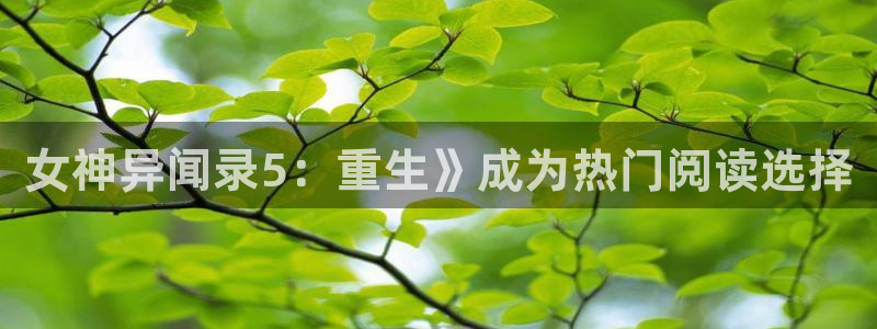 漫蛙破解版下载：女神异闻录5：重生》成为热门阅读选择