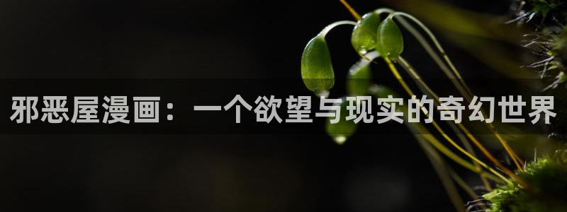 漫蛙网址.：邪恶屋漫画：一个欲望与现实的奇幻世界