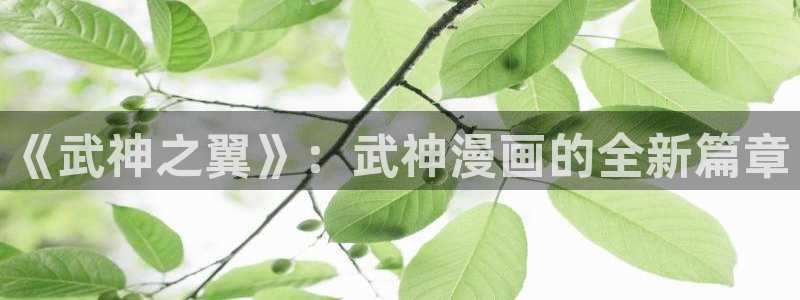 漫蛙的隐藏漫画：《武神之翼》：武神漫画的全新篇章
