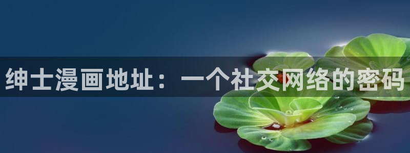 漫蛙manwa漫画网站：绅士漫画地址：一个社交网络的密码