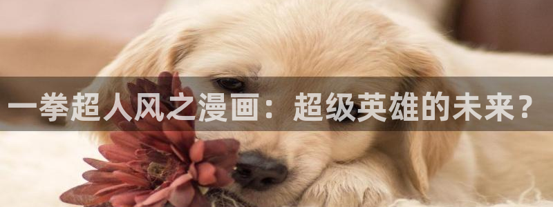 漫蛙怎么登录邮箱：一拳超人风之漫画：超级英雄的未来？
