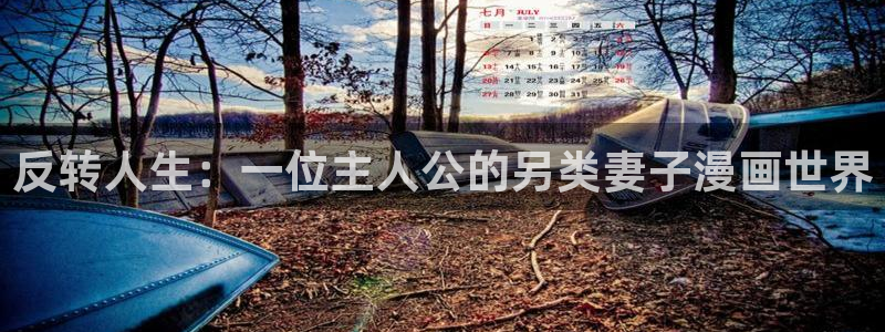漫蛙免费漫画入口：反转人生：一位主人公的另类妻子漫画世界