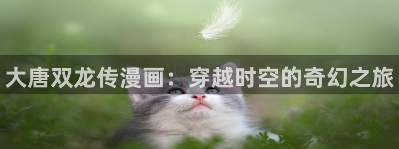 免费漫蛙漫画app入口：大唐双龙传漫画：穿越时空的奇幻之旅
