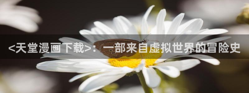 漫蛙漫画正版入口在哪里：<天堂漫画下载>：一部来自虚拟世界的冒险史