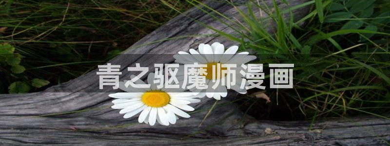 漫蛙2下载官网腾牛：青之驱魔师漫画