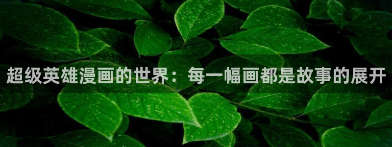 漫蛙黄：超级英雄漫画的世界：每一幅画都是故事的展开