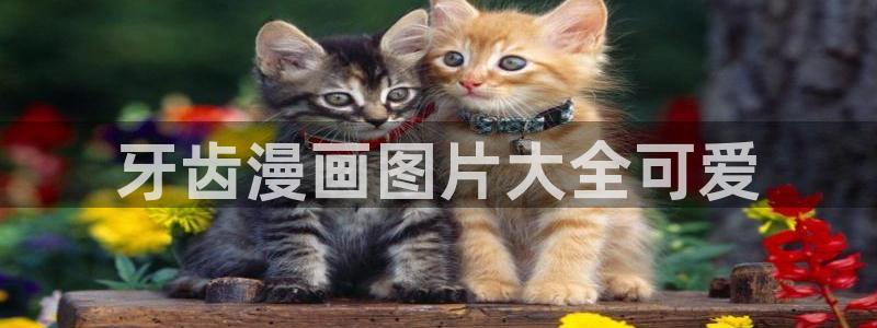 漫蛙2.side/book/：牙齿漫画图片大全可爱