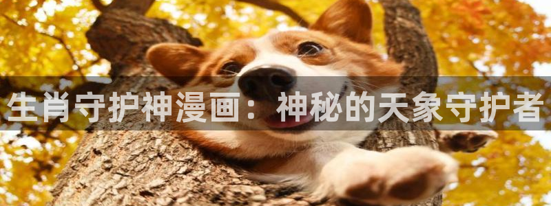 漫蛙漫画(网页入口)_漫蛙manwa2官网_：生肖守护神漫画：神秘的天象守护者
