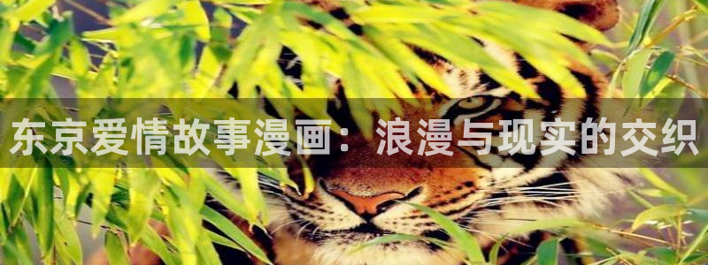 漫蛙漫画观看：东京爱情故事漫画：浪漫与现实的交织
