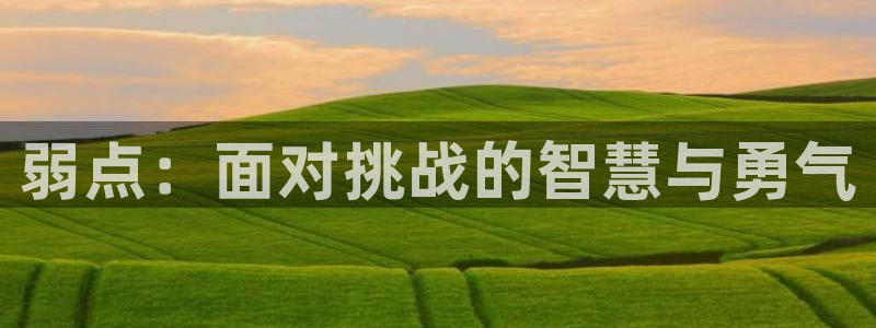 mw777漫蛙漫画下载：弱点：面对挑战的智慧与勇气
